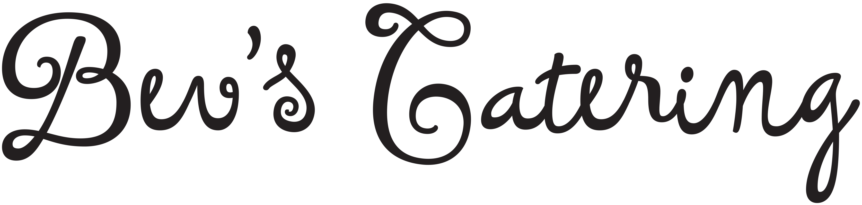 Bev'sCateringLOGO