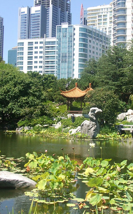 Garden in Sydney