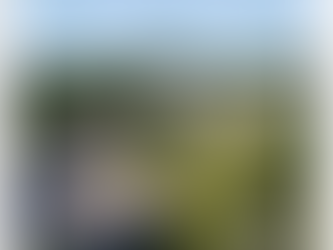 NE BLADE MAGAZINE SPRING 2023: IT’S TIME TO THINK SMARTER ABOUT MAINTAINING SYNTHETIC TURF