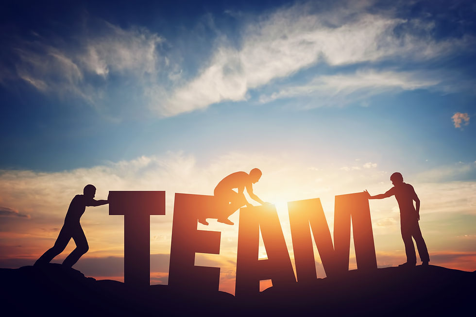 Team work makes the dream work