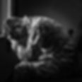 SOLDIER PRAYING.jpeg