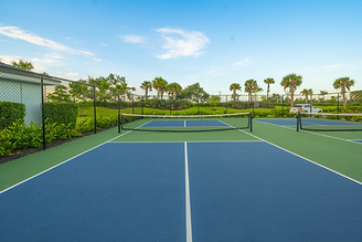 Pickleball / Tennis Court