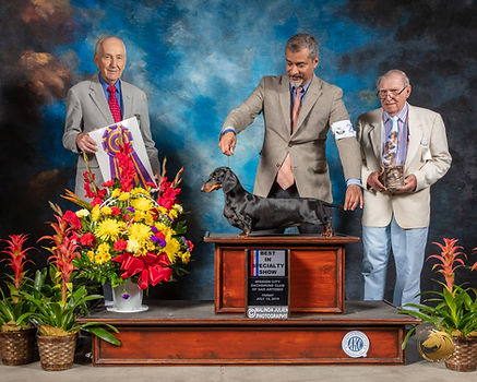 Harlot BISS R Hartinger.JPG