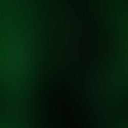 Você já teve sua identidade roubada nas redes sociais?