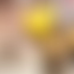 Gerenciamento de obra: 6 etapas fundamentais para o sucesso