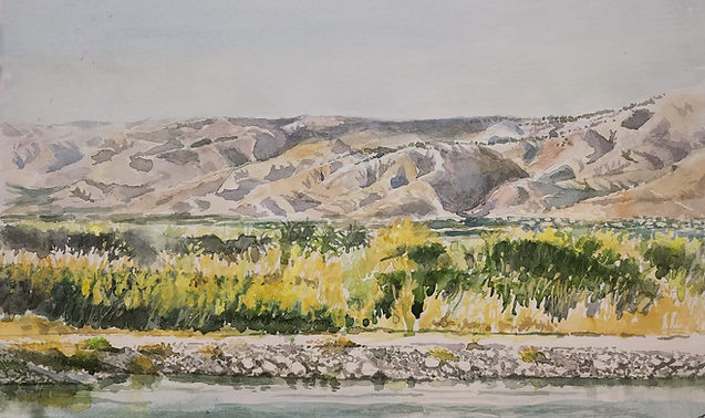 ציור גלעד ברכה ב צבע מים