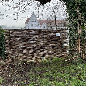 Hasel mit Rundstahl 1.jpg