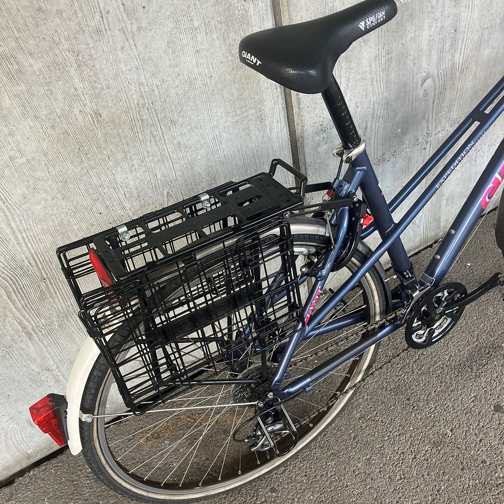 Miniaturbild: Citybike Damen Giant Expedition