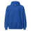 Thumbnail: CLASSIC GROOVY HOODIE