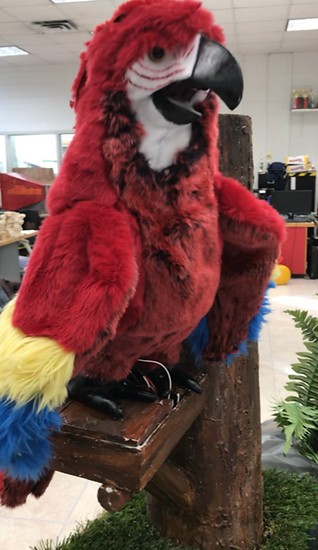Tiki room parrot.PNG