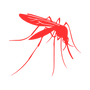 mosquito