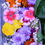 Thumbnail: Edible Mixed Flowers - 20g