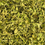 Thumbnail: Dried Native Thyme