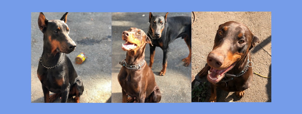 Green and Orange Woman Musicians Faceboo