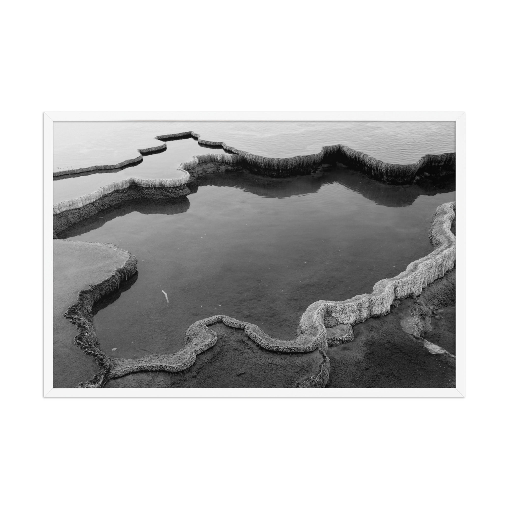 Mammoth Hot Springs - Framed Photography