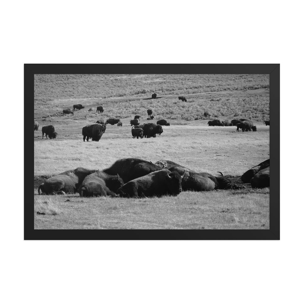 Thumbnail: Stillness in the Valley