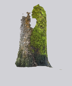 IMG_0022.PNG