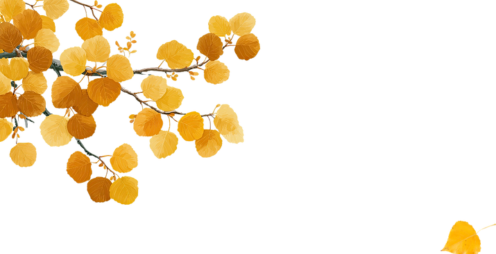 Untitled design (53).png