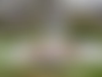 Finding Joy in Everyday Faith: How Small Spiritual Habits Transform Our Lives