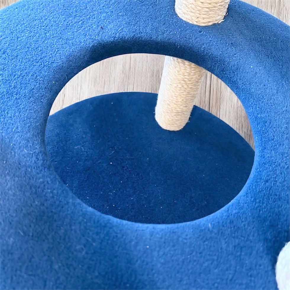 Miniature : Rizumu（リズム）