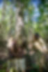unnamed (4).jpeg