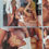 Thumbnail: Mirage Vol. 2 No. 5