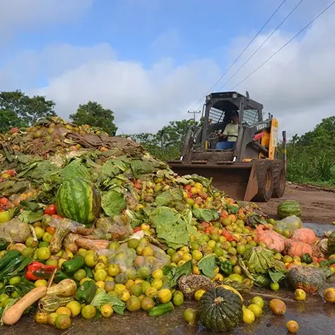 Fome, consumo e desperdício: como desatar esse nó?