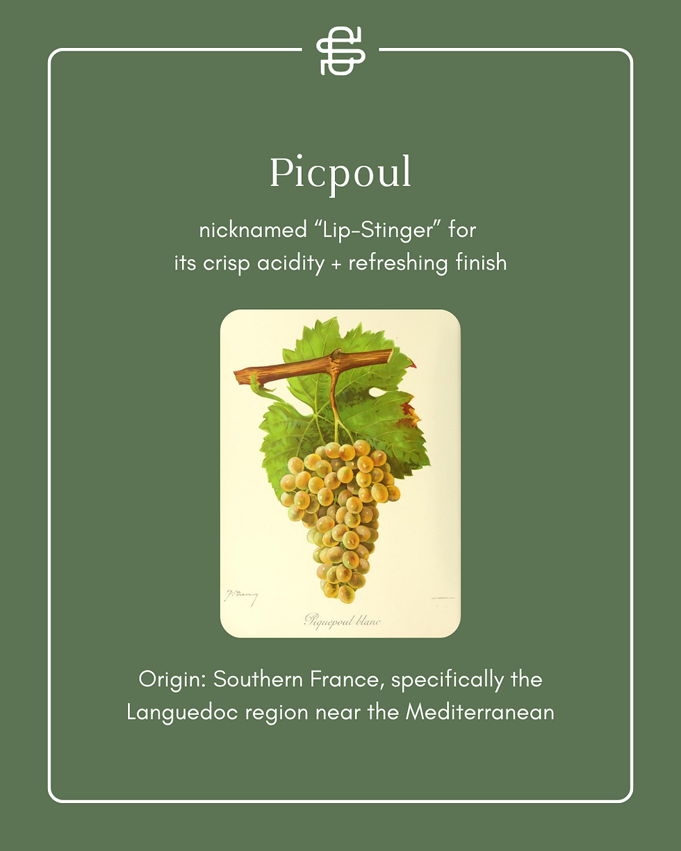 Picpoul Blanc Food Pairings