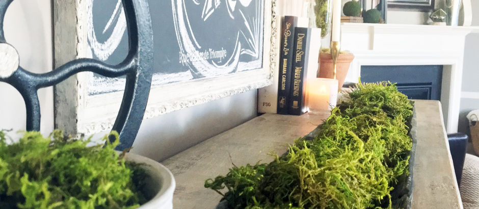 The Many Faces of Moss | EH Design