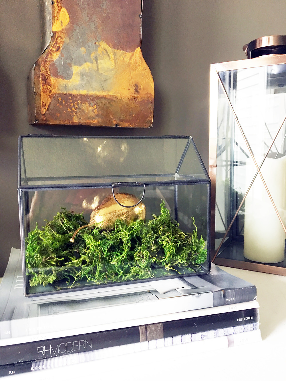 EH Design Blog - The Many Faces of Moss - Example with Moss in Terrarium