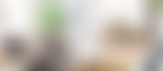 The New Threshold by Studio McGee Product Line