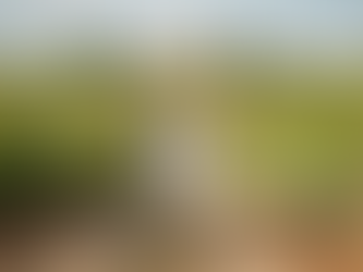 Les secrets d'un reportage mariage réussi dans l'Hérault