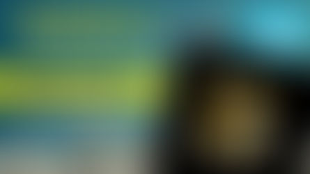 YoForex Gold independent reviews and assessment of free and vip signals channel / group on Telegram