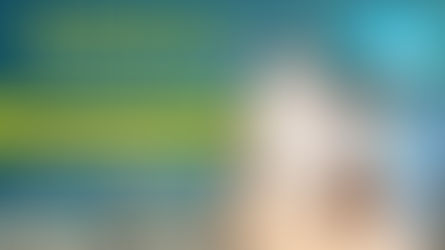 Trade With Ankit Goyal independent reviews and assessment of free and vip signals channel / group on Telegram