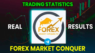 FOREX MARKET CONQUER reviews results trading statistics telegram group