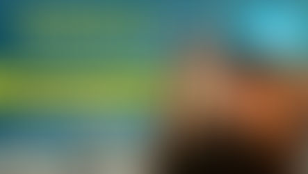 Gold Trader | Ionut independent reviews and assessment of free and vip signals channel / group on Telegram