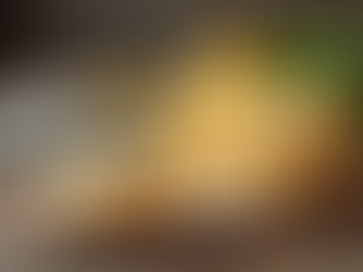 The Ultimate Guide to Parmesan Cheese: History, Uses, and Recipes