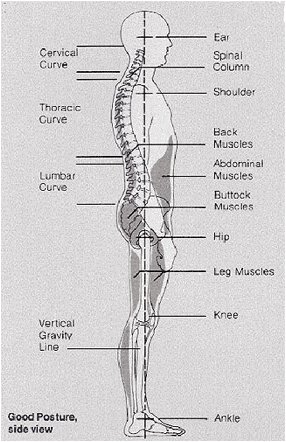Physical Therapy Doctors are highly specialized in their areas of expertise