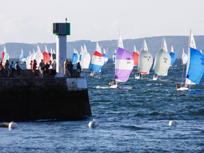 Douarnenez accueille la Yanmar Dragon Gold Cup !