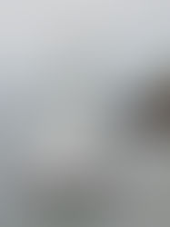 Les Optimist passent au Mini 6.50 ! 