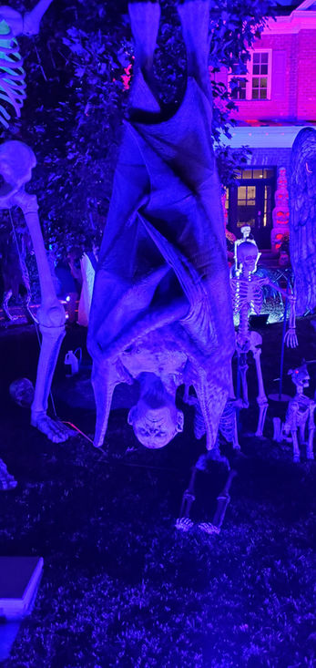 Haunted Halloween House Yard Display for Howl-O-Scream