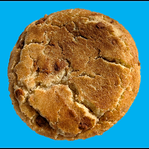 Joey's Loaded Snickerdoodle Cookie