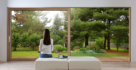 Clad-Wood HST.jpg