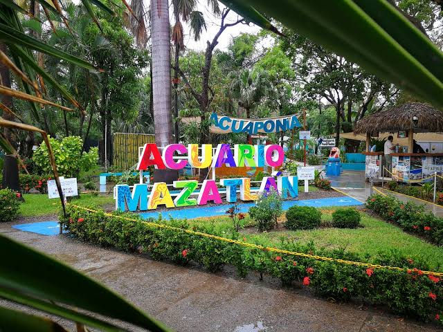 Miniatura: MAZATLÁN Y GUAYABITOS DEL 02 AL 05 DE MARZO 2023