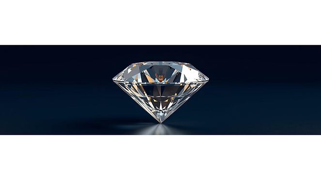 Discover Our Expertise.png