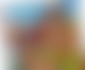 The Feast Corner!  GUIDE  Nov 12 2019