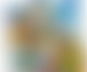 Make A Splash!  Swim School Guide     July 30 2019