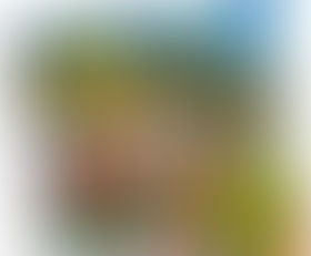 The Parade Pavilion!  Guide June 25 2019