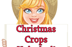 New "Christmas Crops" Unlocked!