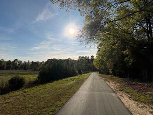 Blessed are those who have not seen and yet have come to believe.